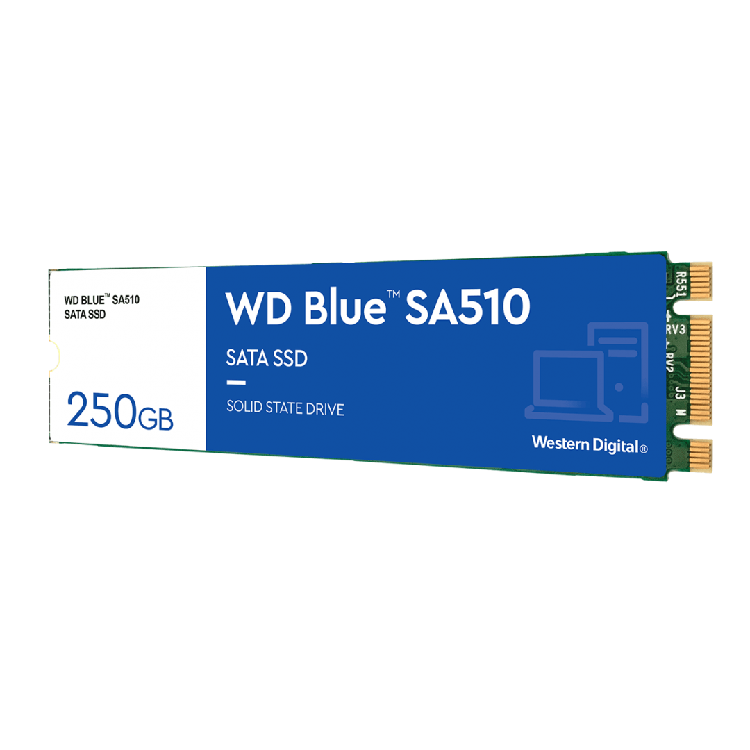 SSD WD Blue, 250GB, 2.5'', 3D NAND, SATA III-Dexter Computer